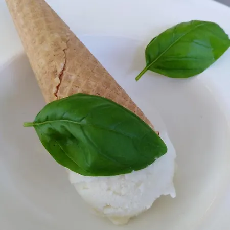 Avou Nozotes 4* Namur