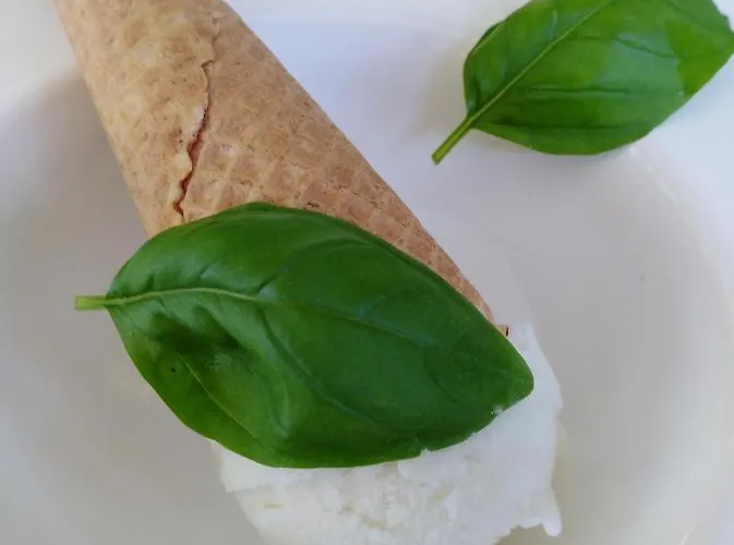 Avou Nozotes 4* Namur